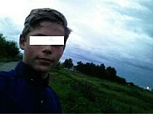 Под Ульяновском погиб врезавшийся в фуру на мопеде подросток