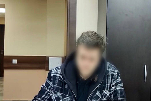 Московский педофил три месяца присылал интимные фото девочке
