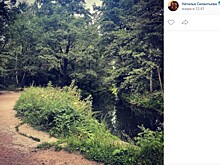 Проход на пляж Большого Садового пруда закрыт из-за ограничительных мер