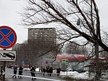 Движение троллейбусов на Ярославском шоссе возобновили после падения дерева