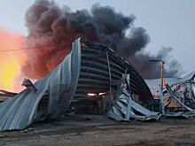 Порт Измаила превращен в пепел, экипажи турецких, израильских, греческих зерновозов молят бога, чтобы уцелеть