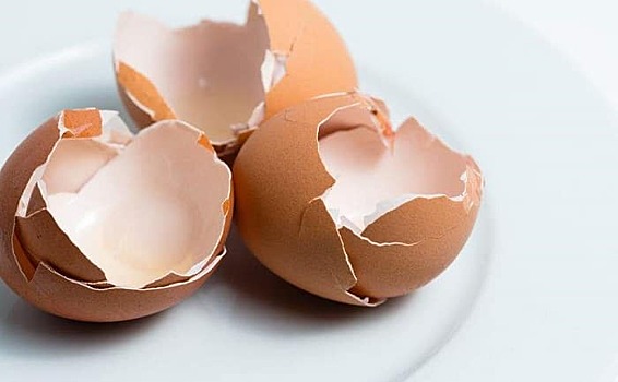 Как использовать яичную скорлупу для сезонной подкормки различных растений