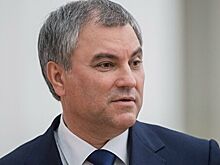 Володин одобрил предложения главы Росгвардии по оружию