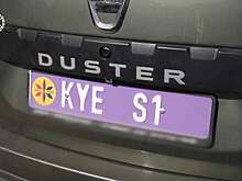 Израильтянина арестовали за выдачу номеров и документов воображаемого королевства