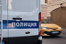 В Подмосковье домработница украла украшение за сотни тысяч рублей