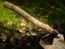 "Это 90-е": под Рязанью депутат напал с топором на бизнесмена. Дело замяли