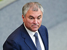 Володин пригласил коллегу из Афганистана участвовать в заседании ПА ОДКБ