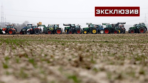 Политолог Михайлов допустил крах всего сельского хозяйства ЕС из-за протестов