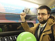 В метрополитене завелись моржи и белые медведи