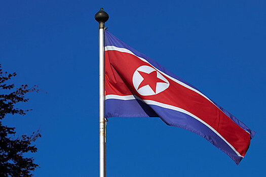 Северокорейских атлетов проверят на допинг перед ОИ