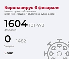 Калининградский оперштаб рассказал подробности о ситуации с ковидом