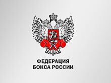 Результаты чемпионата России по боксу