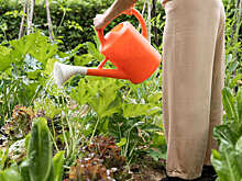 Пять штрафов, с которыми вы можете столкнуться, если проводите выходные на даче