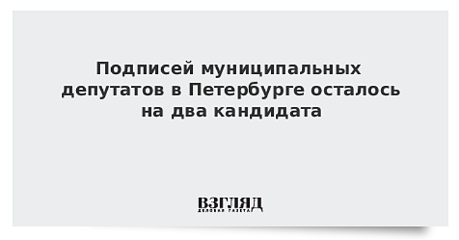 Подписей муниципальных депутатов в Петербурге осталось на двоих кандидатов