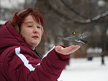 Не буди спящего зверя: чем опасна для природы теплая зима