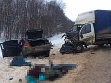 Виновному в ДТП с тремя погибшими в Башкирии назначили наказание