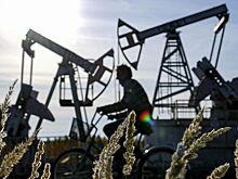 Российские нефтяники пообещали снабдить аграриев топливом в нужном объеме