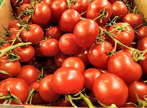 Майские праздники без лишних килограммов: советы диетолога Елены Сергеевой