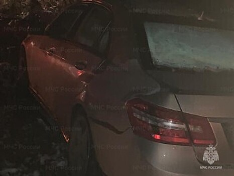 ДТП с диким зверем обернулось травмами для двух человек в Калужской области