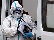 В Севастополе у семи строителей выявили коронавирус
