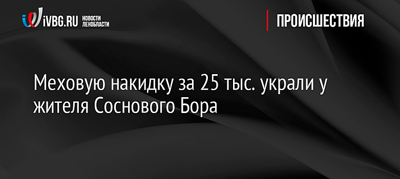 Меховую накидку за 25 тыс. украли у жителя Соснового Бора