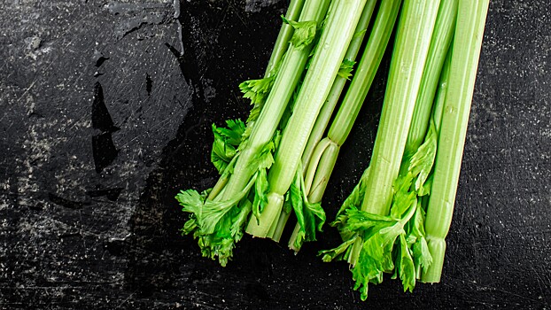 Врач Соломатина: сельдерей избавит от отеков и поможет справиться со стрессом