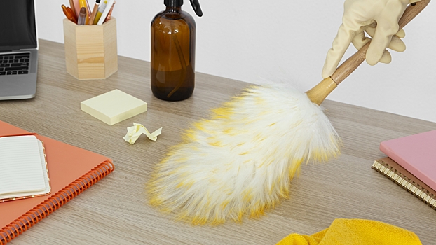 Приводит к заболеваниям: как бороться с пылью дома