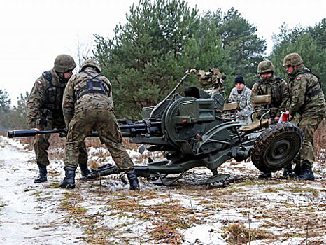 Бумажная армия ляхов: Варшава разворачивает партизанские войска у границ РФ