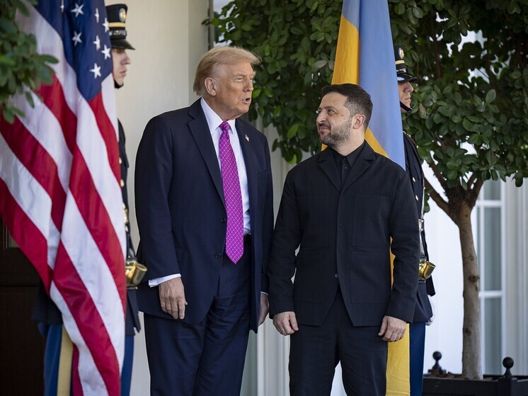 В Европе испугались встречи Зеленского с Трампом