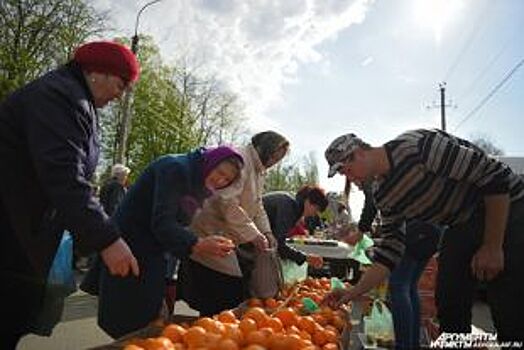 27 января в столице Адыгеи пройдут ярмарки выходного дня