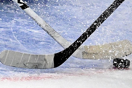 Хоккейная команда Президента Беларуси одержала очередную победу