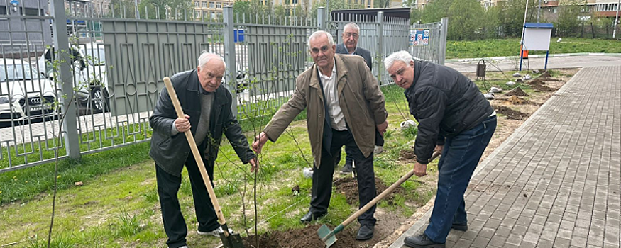 Еще три улицы Красногорска озеленили на прошедших выходных