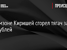 В промзоне Киришей сгорел тягач за 9 млн рублей