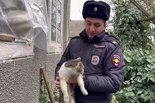 Полицейские в КБР спасли из пожара инвалида и его кошку