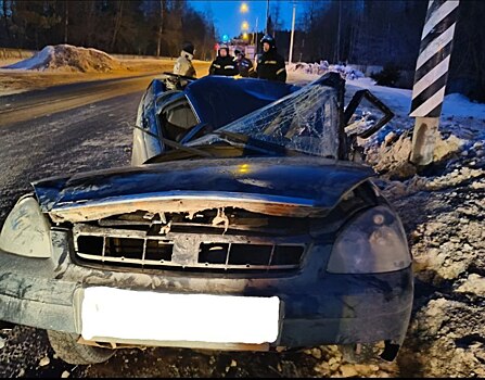 Водитель легковушки погиб, врезавшись в опору ЛЭП