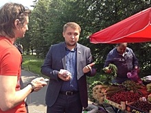 Чернышов проверил качество черешни в Марьино