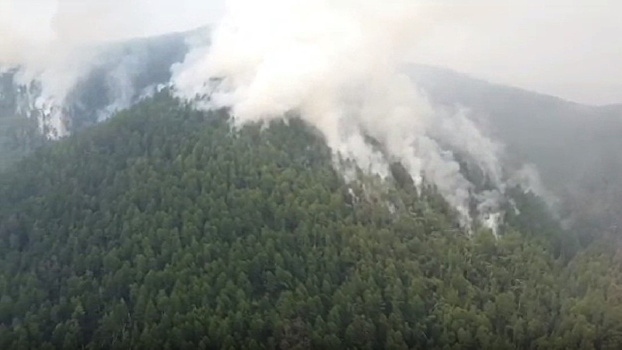 В Приамурье из-за природных пожаров ввели региональный режим ЧС в лесах
