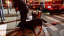 Подозреваемый во возрывах в Нью-Йорке обвинен по 4 статьям