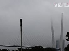 ГИБДД раскрыла подробности массового ДТП во владивостокском тумане