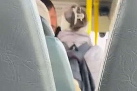 Маршрутчик выгнал пенсионерку из-за больших сумок, а та обматерила его на видео