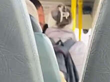 Маршрутчик выгнал пенсионерку из-за больших сумок, а та обматерила его на видео