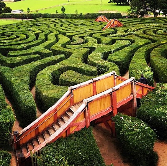 Longleat Hedge Maze в Великобритании — самый длинный лабиринт в мире, состоящий из 16 тысяч тисовых деревьев. Протяженность его коридоров составляет около трех км. Он оборудован шестью деревянными мостиками, с которых можно осмотреться вокруг и выбрать направление движения.