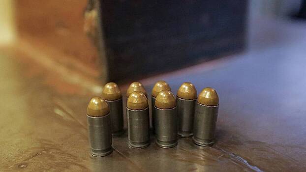 Силовики нашли у жителя Подмосковья почти две тысячи патронов и возбудили дело
