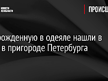 Новорожденную в одеяле нашли в парке в пригороде Петербурга