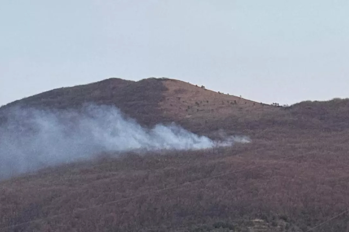В Новороссийске тушат крупный лесной пожар на площади 0,8 га: задействовано 49 человек и 15 единиц техники
