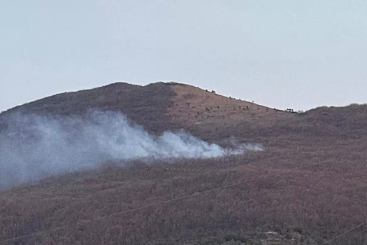 В Новороссийске тушат крупный лесной пожар на площади 0,8 га: задействовано 49 человек и 15 единиц техники