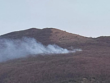 В Новороссийске тушат крупный лесной пожар на площади 0,8 га: задействовано 49 человек и 15 единиц техники