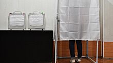 Голосование на выборах губернатора Подмосковья будет проходить три дня