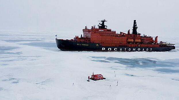 Фильм «В Арктику» бесплатно покажут в рамках фестиваля «зелёного» документального кино в Вологде (6+)