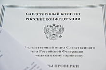 Председатель СК РФ обратил внимание на инцидент с избиением девочки в Камышине